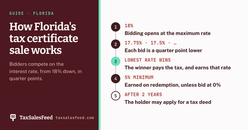 How Florida's tax certificate auction is bid: bidding opens at the 18% maximum rate, each bid is a quarter point lower, the lowest rate wins and the winner pays the tax, a redeemed certificate earns at least 5% unless bid at 0%, and after two years the holder may apply for a tax deed.
